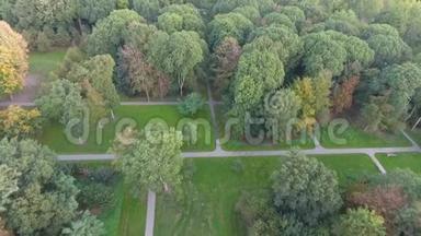荷兰Zwijndrecht市公园的秋树，无人机空中射击